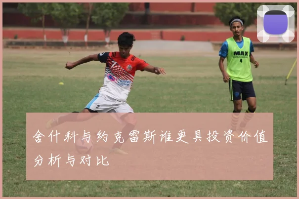 舍什科与约克雷斯谁更具投资价值分析与对比