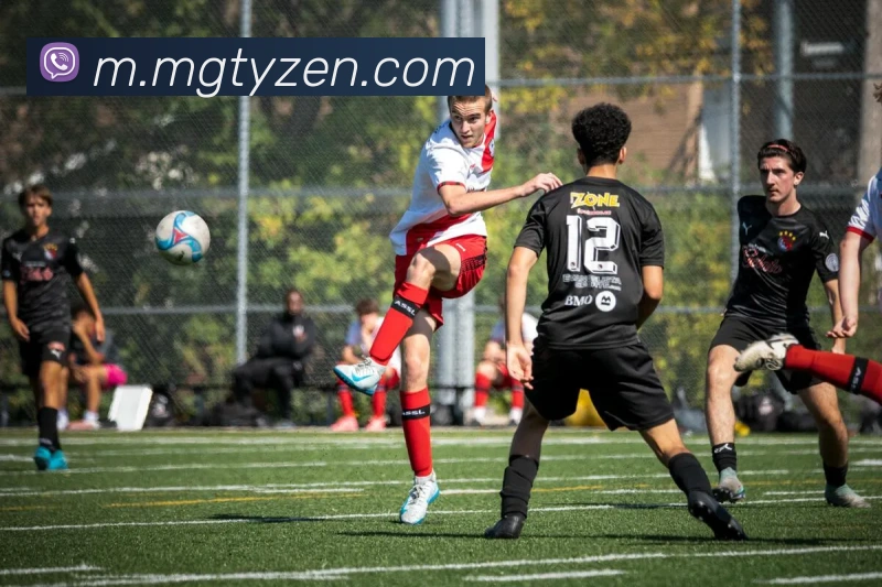 满冠体育发展历程